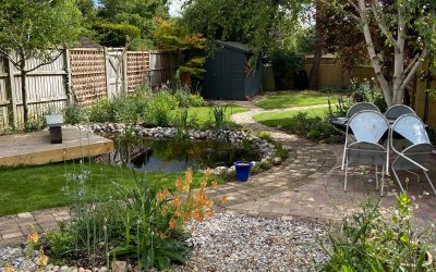 Design a Wildlife-Friendly Pond with a View